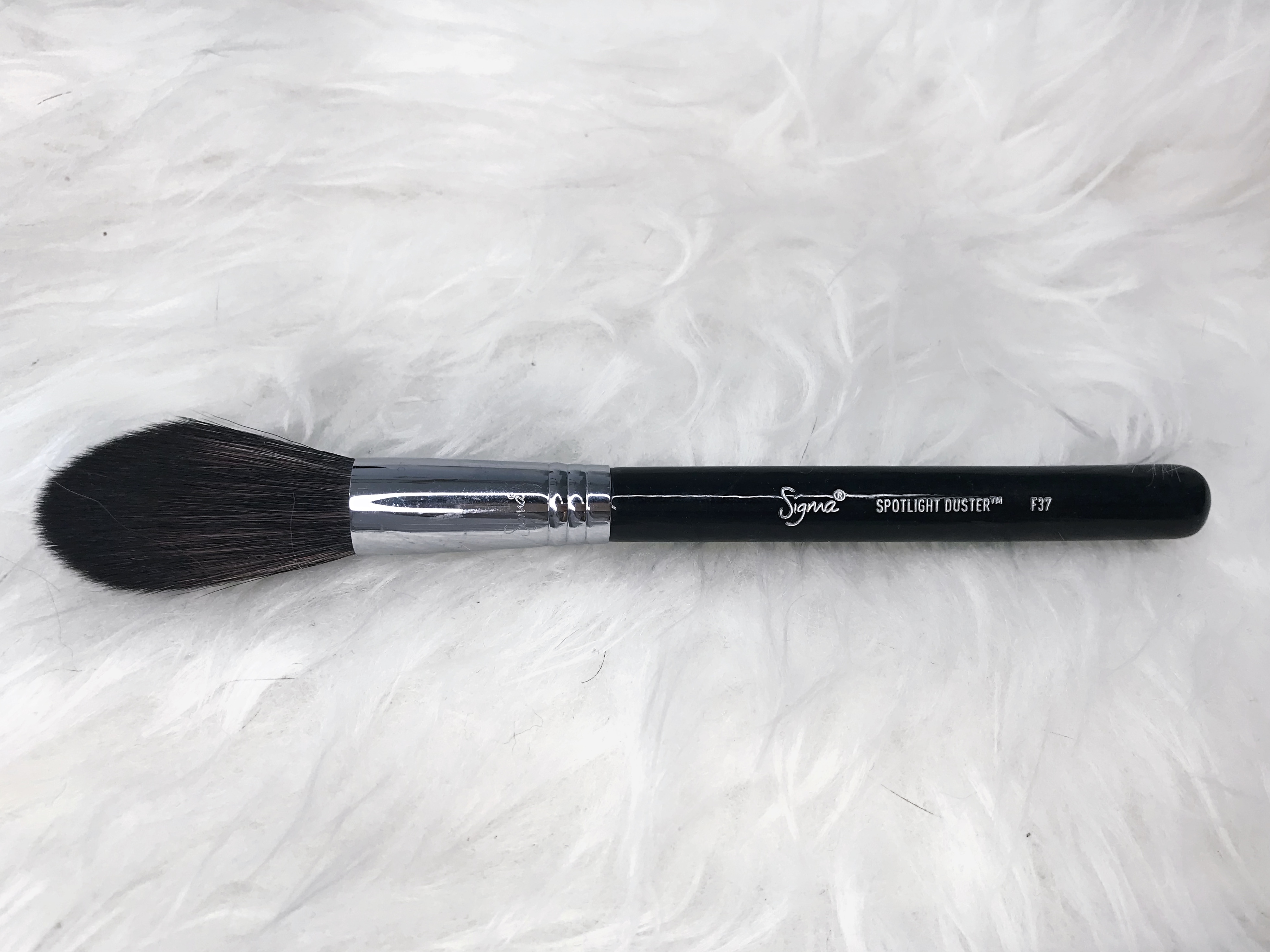 spotlight duster f37 sigma brushes